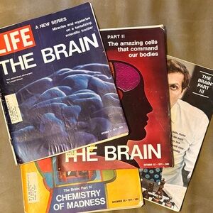 4 Life Magazines - 1971 - The Brain 4-part series